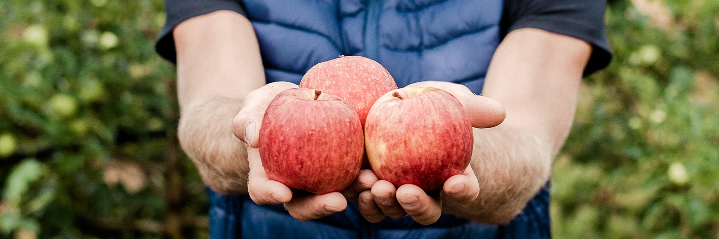 Toutes les variétés de pommes produites par Blue Whale