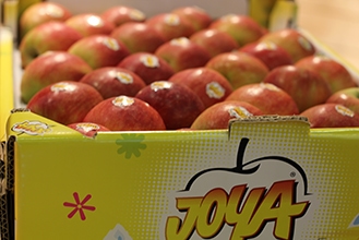 Opal Apples In Stores Pt 3 - AG INFORMATION NETWORK OF THE WEST